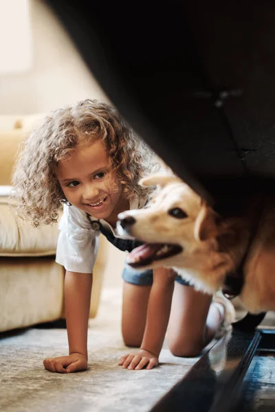 你在下面做什么 一个可爱的小女孩和她的狗在客厅里玩耍 — 图库照片