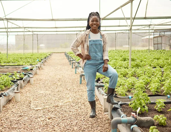 Glückliche Bäuerin Ihrem Gewächshaus Stolze Bäuerin Steht Ihrem Garten Afrikanische — Stockfoto