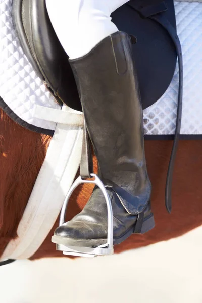 Primo Piano Piede Staffa Equitazione Sport Sicurezza Con Animali Corsa — Foto Stock