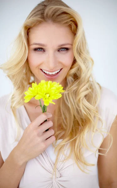 Portrait of happy woman, daisy and flowers in studio, isolated and white background. Female model smile with yellow plant, petals and fresh blossom for happiness, sustainability and floral beauty.