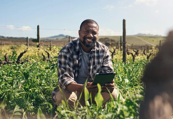 Digitálními Technologiemi Farmaření Den Ode Dne Snazší Zralý Muž Používající — Stock fotografie
