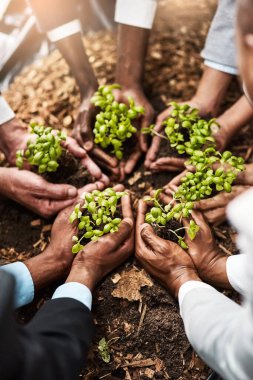 İşine yatırım yap ve büyümesini izle. Topraktan çıkan bitkileri elinde tutan bir grup iş adamının yakın plan çekimi.