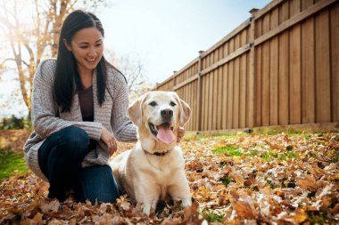 Dışarı çıkıp oynamak için harika bir gün. Çekici bir genç kadın bir sonbahar günü bahçede köpeğiyle eğleniyor.