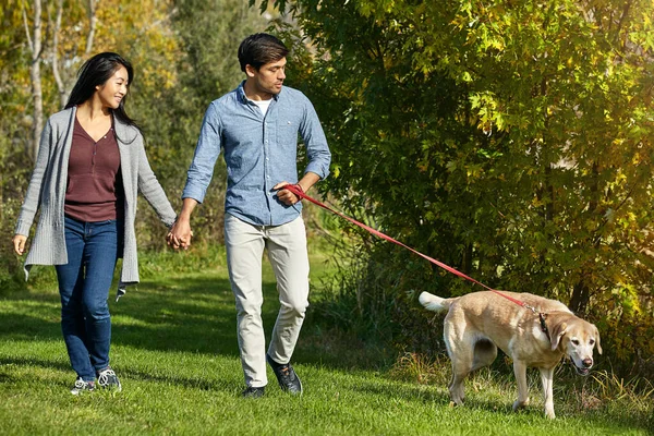 狗总是负责任的 一对可爱的年轻夫妇带着他们的狗在公园里散步 — 图库照片