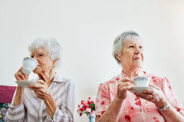 Nie Przeszkadzać Herbata Trakcie Dwie Starsze Kobiety Pijące Razem Herbatę — Zdjęcie stockowe