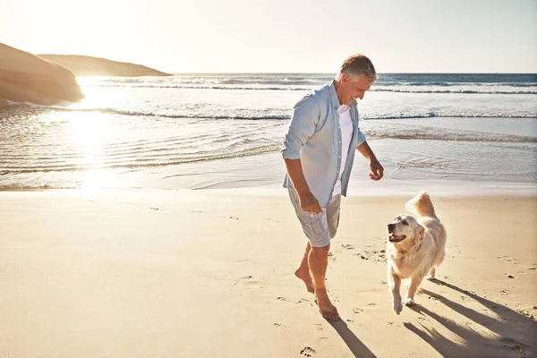 狗爱海滩 什么是不爱 一个成熟的男人带着他的狗在海滩上散步 — 图库照片