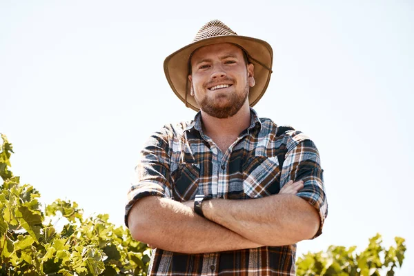 偉大なものを成長させるビジネスで ぶどう畑に立つ農家の肖像画 — ストック写真