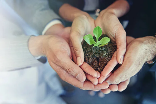Fechar Mãos Grupo Com Uma Planta Negócios Sustentabilidade Para Desenvolvimento — Fotografia de Stock