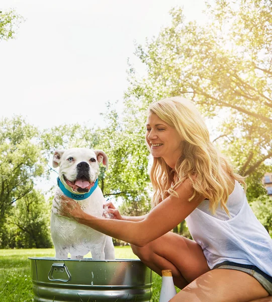 Сделать Одной Возможностью Сблизиться Woman Bathing Her Pet Dog Summer — стоковое фото