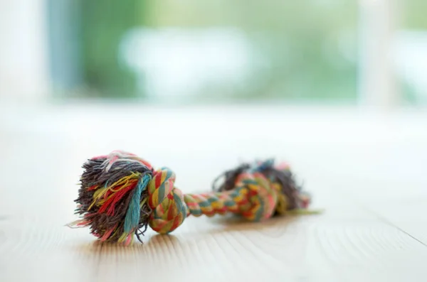Closeup of chew toy, colorful rope with knot and puppy accessory on wood floor with pet care and object. Color cotton plaything for games with dog, petshop product and entertainment for domestic pets.