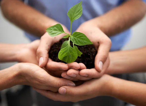Closeup Grupo Mãos Pessoas Plantas Sustentabilidade Para Apoio Esperança Dia — Fotografia de Stock