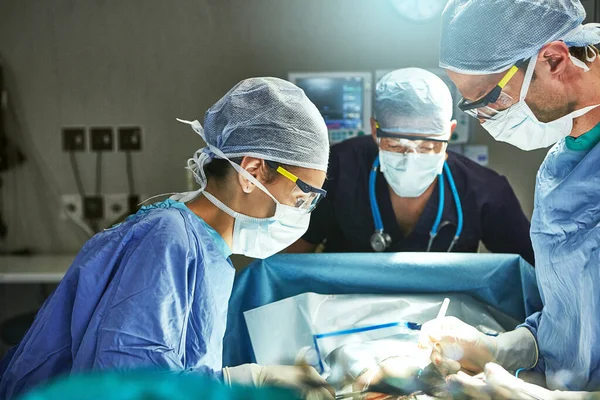 Focused Intricate Surgical Procedure Surgeons Operating Room — Stock Photo, Image