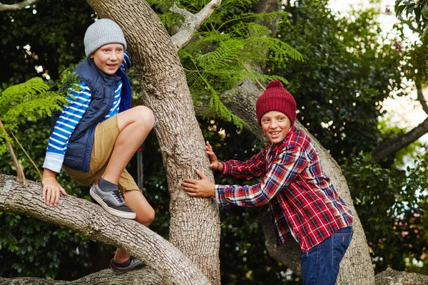 Авантюристы Верхушки Деревьев Два Мальчика Вместе Залезли Дерево — стоковое фото