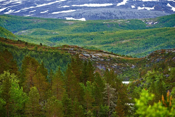 Piękny Norweski Krajobraz Krajobraz Czerwcu Niedaleko Bodo Nordland Norwegia — Zdjęcie stockowe