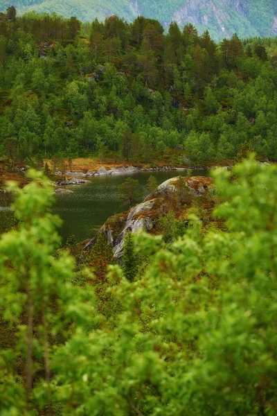 Όμορφο Νορβηγικό Τοπίο Τοπίο Στον Ιούνιο Κοντά Στο Bodo Nordland — Φωτογραφία Αρχείου