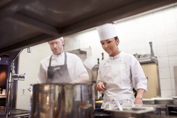 Gör Matlagning Till Konstform Inre Bearbetning Ett Professionellt Kök — Stockfoto