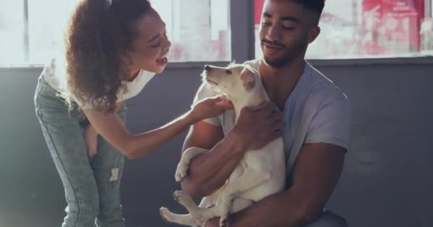 복지를 센터에서 사랑하는 부부가 있습니다 지역의 개미집에서 강아지를 입양하는 — 비디오