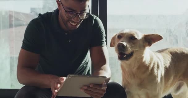 Homem Cão Tablet Com Conexão Internet Enquanto Acaricia Animal Uma — Vídeo de Stock