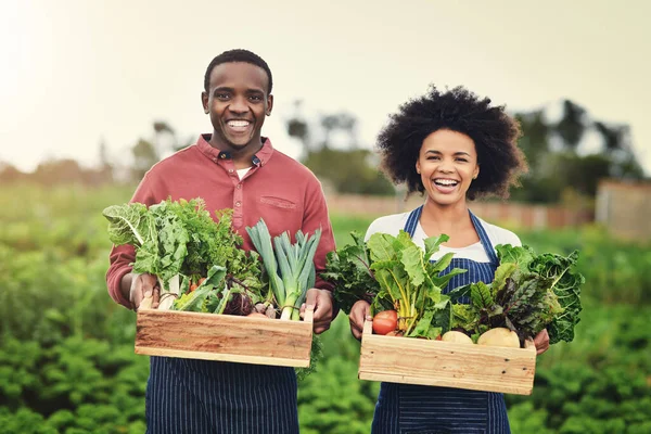 Mindent Szeretettel Termesztünk Farmunkon Fiatal Mezőgazdasági Termelők Gondozzák Növényeiket — Stock Fotó