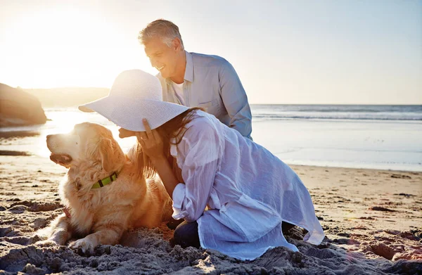 Нам Весело Прогулках Зрелая Пара Проводит День Пляже Своей Собакой — стоковое фото