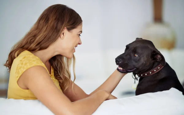 Whos Good Boy Attractive Young Woman Sitting Her Dog Sofa — Stock Photo, Image