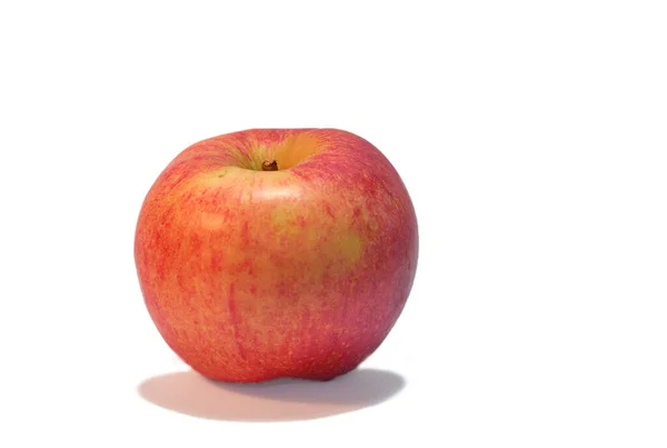 Rött Friskt Äpple Röda Äpplen Som Hänger Lågt Trädet Riktigt — Stockfoto