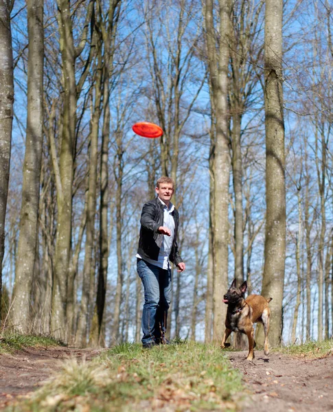 ゲームのための飛行ディスクを持つ男 犬や公園 運動や自由のための森の中で学び 実行しています ペット動物 プラスチック板と体のためのワークアウト 森の中で子犬とのケアと冒険 — ストック写真