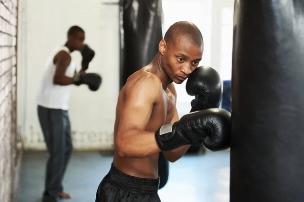 Die Praxis Wird Ihn Weit Bringen Ein Junger Boxer Schmatzt — Stockfoto