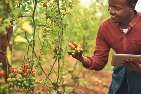 Tecnologia Mudou Face Agricultura Jovem Agricultor Bonito Usando Tablet Enquanto — Fotografia de Stock