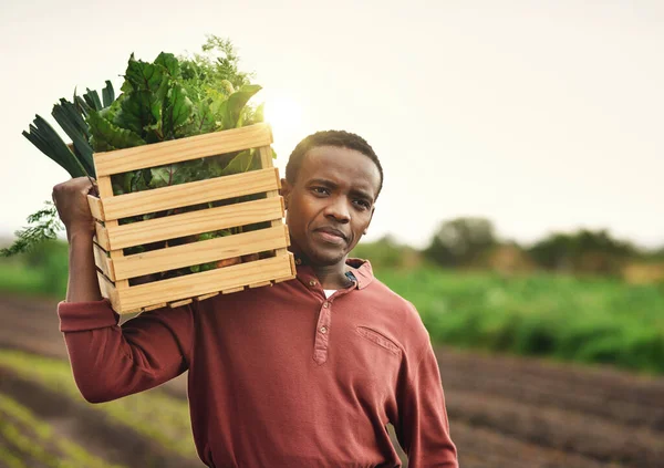 Mother Natures Harvest Handsome Young Male Farmer Carrying Crate Fresh — Stock Photo, Image
