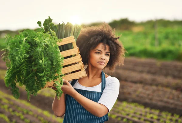 Ready Consumption Attractive Young Female Farmer Carrying Crate Fresh Produce — Stock Photo, Image