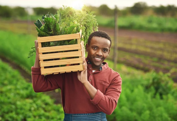 Just First Batch Cropped Portrait Handsome Young Male Farmer Carrying — Stock Photo, Image