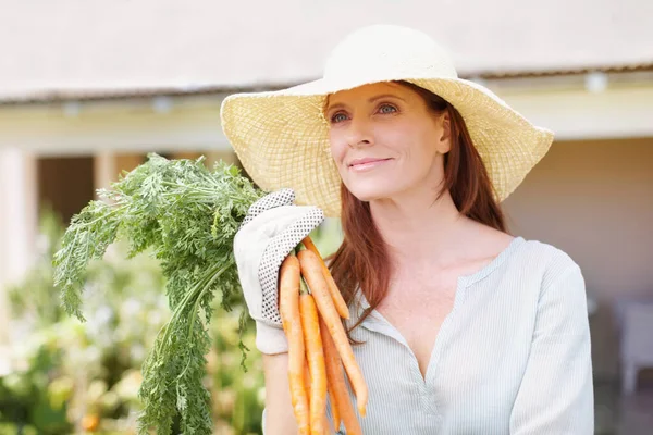Saját Egészséges Zöldséget Termesztek Egy Gyönyörű Aki Kertészkesztyűt Visel Egy — Stock Fotó