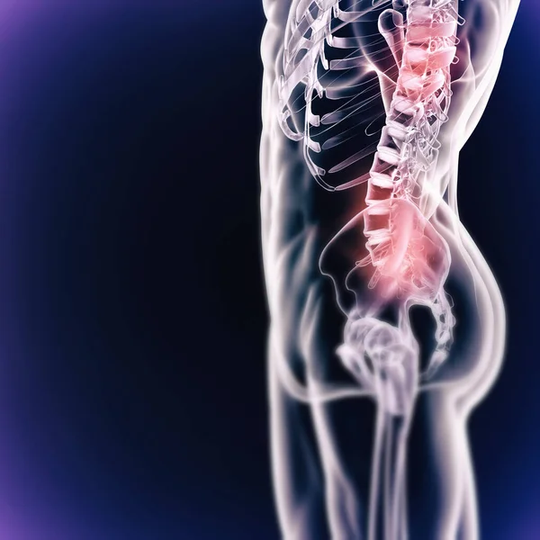 Scan Anatomie Und Skelettknochen Des Körpers Auf Digitalem Röntgenhintergrund Grafik — Stockfoto