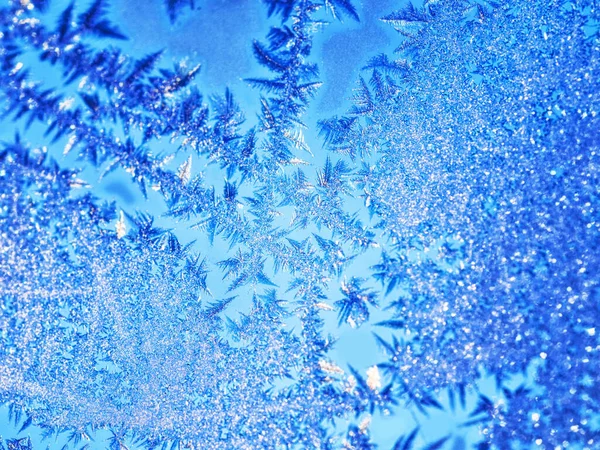 Tél Hideg Közeli Levelek Fagyott Természet Harmóniában Szabadban Vízben Nyugodt — Stock Fotó