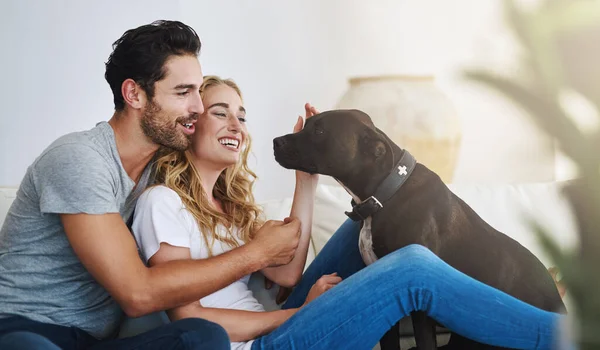 Sonríe Relájate Pareja Feliz Con Una Mascota Sofá Casa Uniéndose —  Fotos de Stock