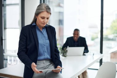 Her şeyi tek seferde halleden alet. Modern bir ofiste toplantı sırasında dijital tablet kullanan olgun bir iş kadını.