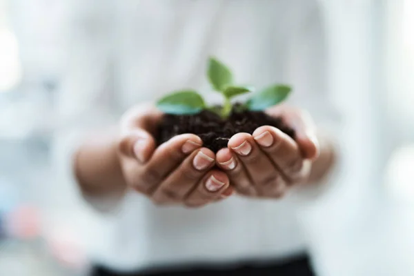 Your Growth Depends You Unrecognizable Businesswoman Holding Plant Growing Out — Stock Photo, Image