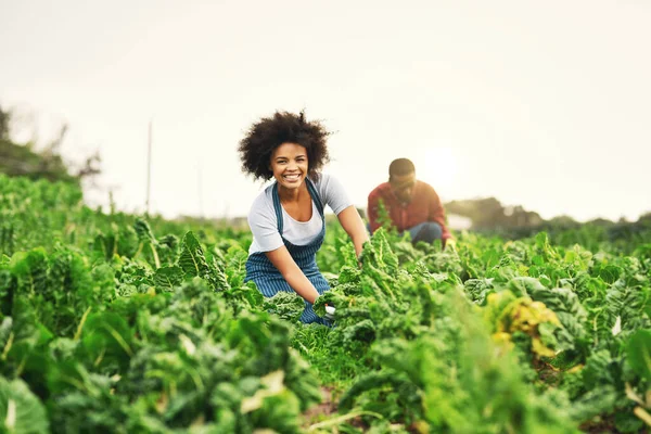 Dou Quinta Quinta Devolve Retrato Uma Jovem Agricultora Atraente Trabalhando — Fotografia de Stock
