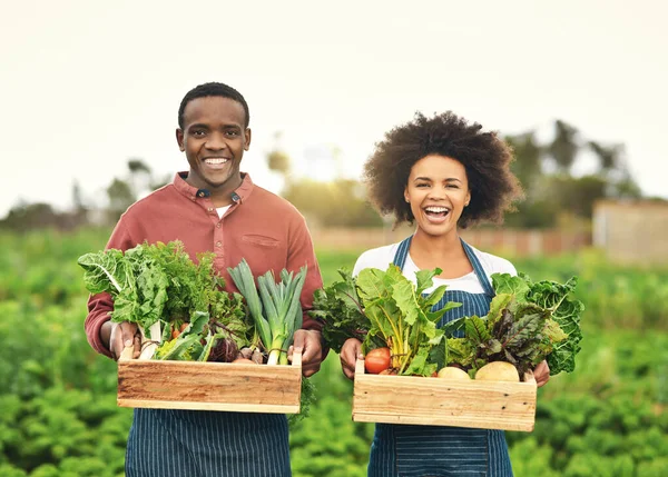 Verbouwen Onze Eigen Groenten Gesneden Portret Van Een Jong Boerenpaar — Stockfoto