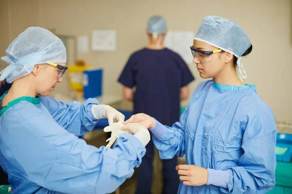 确保他们的手术室是无细菌的 外科医生戴上外科手套为手术作准备 — 图库照片