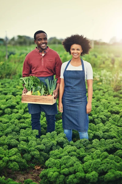 Vida Saudável Começa Por Nós Jovem Casal Agricultores Carregando Uma — Fotografia de Stock