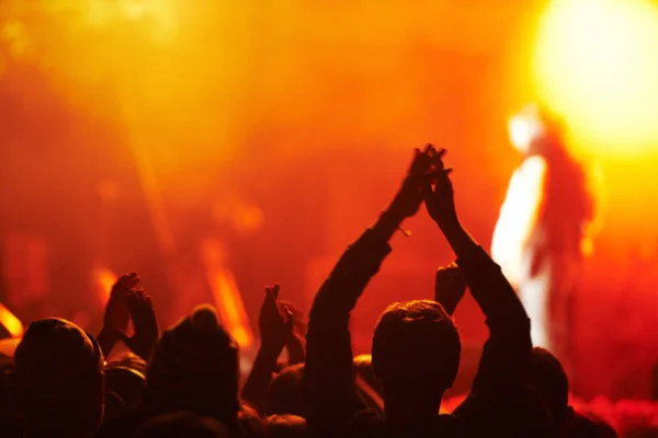 Gece Partiyi Getirir Bir Açık Hava Festivalinde Ellerini Kaldırmış Seyircinin — Stok fotoğraf