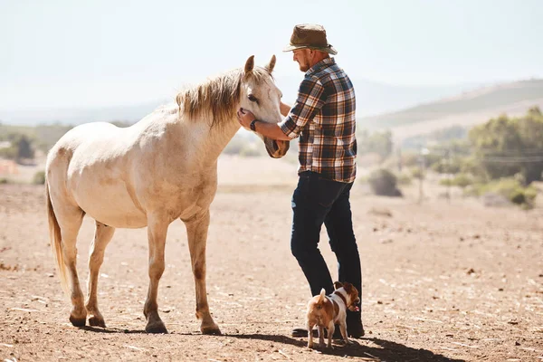 彼は動物と優しいやり方をしている 牧場に馬を連れた農家が — ストック写真