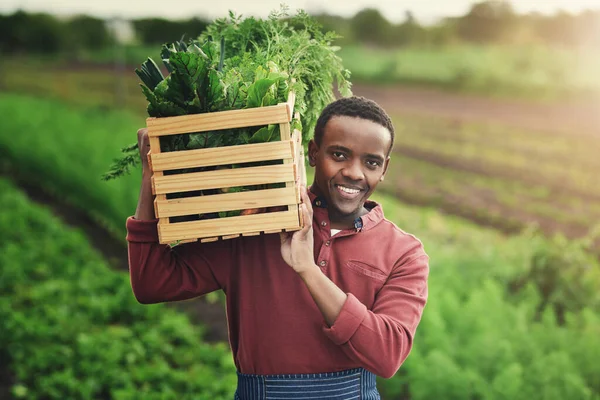 耕作是一种生活方式 一个年轻英俊的男性农场主 提着一箱新鲜的农产品 — 图库照片