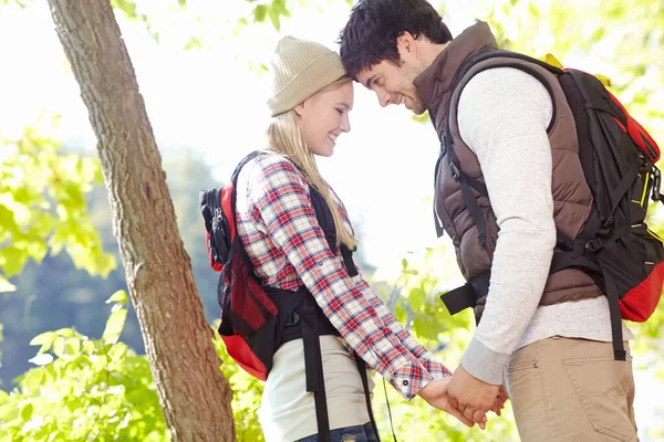 户外浪漫 一对快乐的年轻夫妇面对面地站在一起 在大自然中牵着手 — 图库照片