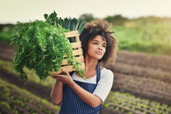 想想那些饥肠辘辘的人吧 一个带着一箱新鲜农产品的年轻貌美的女农场主 — 图库照片