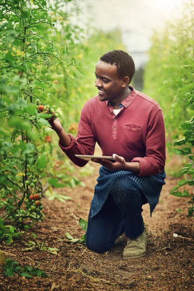 Tecnologia Tornou Agricultura Muito Mais Fácil Jovem Agricultor Bonito Usando — Fotografia de Stock