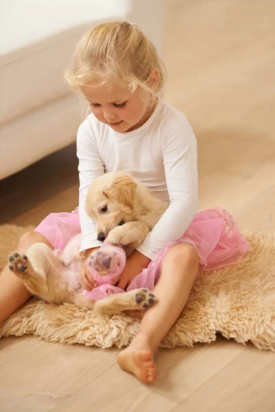 Ребенок Золотой Ретривер Играющий Дома Собакой Счастливой Девочкой Вместе Ради — стоковое фото