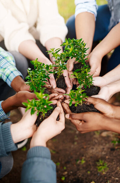Teamwork, hands and group with plants for sustainability, eco friendly or ecology. Collaboration, people and leaves in nature, growth in soil or cooperation for earth day, community together and care.
